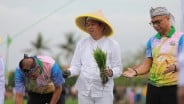 KDM Dukung Swasembada Pangan di Lahan Aset Negara