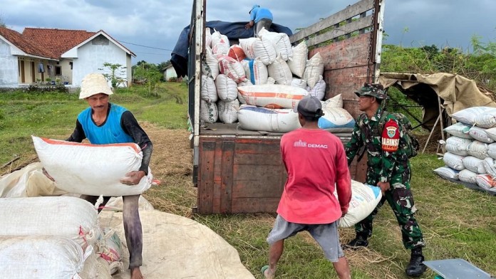 Cirebon Daerah Terbesar Serap Gabah Beras Secara Nasional