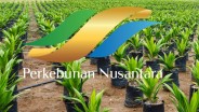 PTPN III Buka Suara Soal Holding BUMN Perkebunan, Simak Penjelasannya