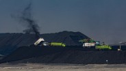 Analysts Forecast Moderate Outlook for Bukit Asam (PTBA) as Coal Prices Slide