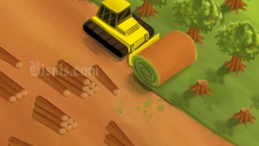 Empat Negara di Cap Risiko Tinggi UU Deforestasi Uni Eropa