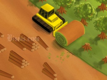 Empat Negara Dicap Risiko Tinggi UU Deforestasi Uni Eropa