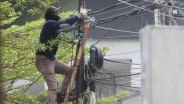 Peta Persaingan Internet Rumah 2025 yang Makin Gurih