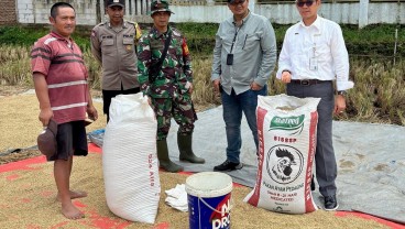 Bulog Indramayu Targetkan Serap 173.000 Ton Gabah hingga Akhir Mei 2025