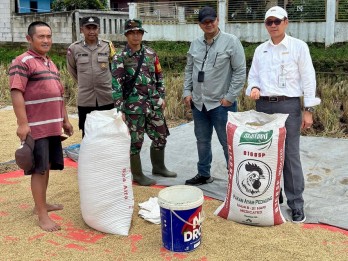 Bulog Indramayu Targetkan Serap 173.000 Ton Gabah hingga Akhir Mei 2025