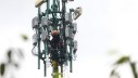 Sinergi Inti (INET) Outlook: Will INET Be the Next DATA and WIFI?