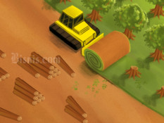Kebakaran Hutan Skala Besar Menjadi Penghasil Super Karbon Ancaman Iklim