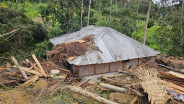 BPBD Kabupaten Lebak Minta Masyarakat Waspadai Banjir, Tanah Longsor, dan Pohon Tumbang