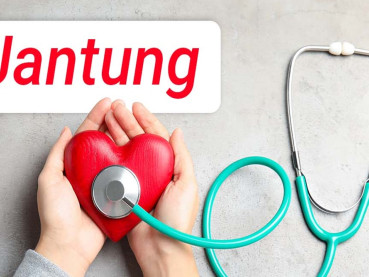 Keterkaitan Kesehatan Pencernaan, Otak dan Kesehatan Jantung