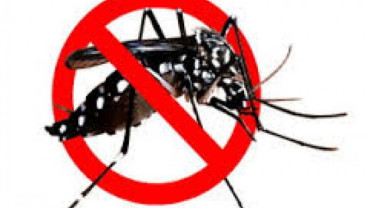 Rekomendasi Menuju Nol Kematian Akibat Dengue Tahun 2030