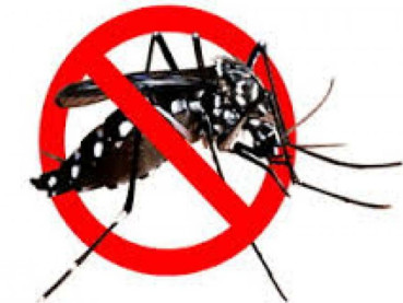 Rekomendasi Menuju Nol Kematian Akibat Dengue Tahun 2030