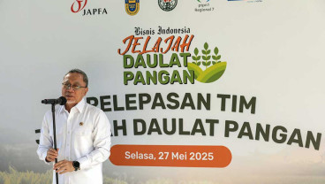 Stok Melimpah, Menko Zulhas Pastikan RI Tak Lagi Impor Beras