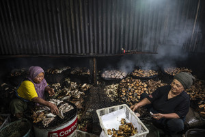 Produksi Ikan Asap di Semarang