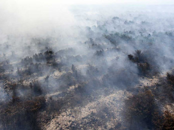 Ini Upaya Gapki Cegah Kebakaran Hutan dan Lahan di Musim Kemarau