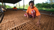 Antam Terapkan Green Mining dengan Memanfaatkan Limbah Kelapa di Maluku Utara