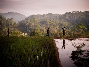 Ini Pilihan Wisata Murah Meriah di Tasikmalaya untuk Libur Panjang Kenaikan Isa Almasih