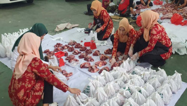 Kawal Kurban Sehat, Universitas Brawijaya Terjunkan 916 Mahasiswa & 65 Dosen Dampingi Masyarakat