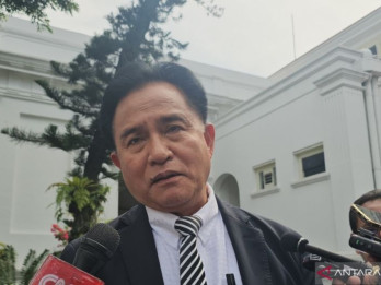 Yusril Bantah Kabar Perundingan Rahasia RI-Israel Demi Jadi Anggota OECD