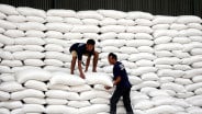Mentan: RI Punya 4 Juta Stok Cadangan Beras