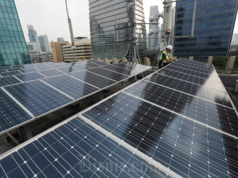 Kala Rantai Pasok Panel Surya RI Belum Terkembang di Tengah Target Masif PLTS