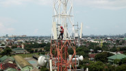 Tower Bersama (TBIG) Cetak Laba Bersih Rp413 Miliar Kuartal I/2025