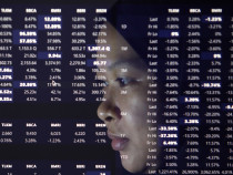 Exporters Adjust Sails Amid Trade Tensions: MLIA, SMSM, OMNED, and AISA