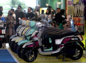 Fazzio Modifest 2025