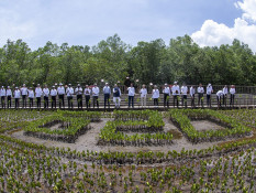 KLH Gencarkan Rehabilitasi Ekosistem Mangrove RI Makin Kritis
