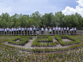 KLH Gencarkan Rehabilitasi Ekosistem Mangrove RI Makin Kritis