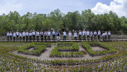 Pemerintah Godok Beleid Perlindungan Mangrove