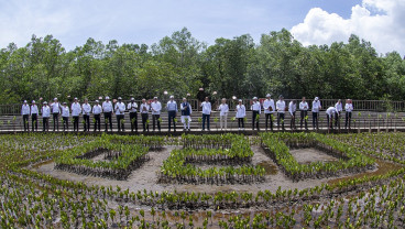 Pemerintah Godok Beleid Perlindungan Mangrove