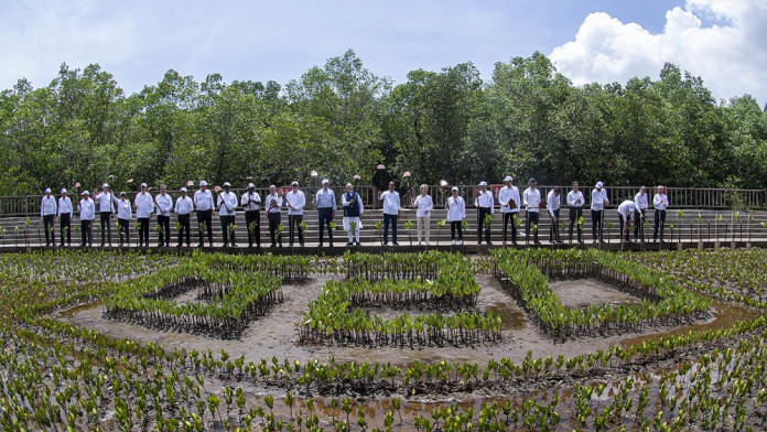Pemerintah Godok Beleid Perlindungan Mangrove