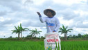 Jelajah Daulat Pangan 2025: Karawang Dorong Petani Tanam Tiga Kali Setahun Kejar Produksi 1,45 Juta Ton