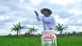 Jelajah Daulat Pangan 2025: Karawang Dorong Petani Tanam Tiga Kali Setahun Kejar Produksi 1,45 Juta Ton