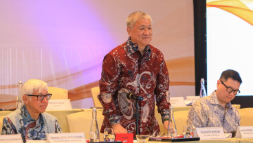 Target Harga Saham PANI dan Tenaga Pendorong 2025
