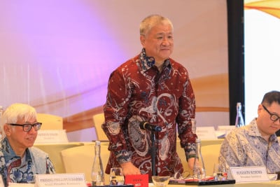 Target Harga Saham PANI dan Tenaga Pendorong 2025