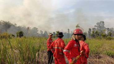 Empat Daerah di Sumsel Naikkan Status Siaga Darurat Karhutla