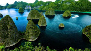 Rusak Kawasan Konservasi, Bahlil Panggil Pemegang IUP Nikel di Raja Ampat
