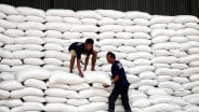 Mentan Klaim Harga Beras Bakal Turun Usai Bansos Cair