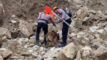 Anjing Pelacak Endus Titik Keberadaan Korban Longsor Gunung Kuda Cirebon