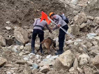Anjing Pelacak Endus Titik Keberadaan Korban Longsor Gunung Kuda Cirebon