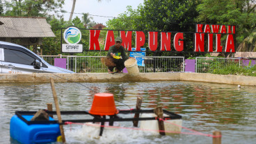 Jelajah Daulat Pangan 2025: Kampung Nila Kawali, Budidaya Ikan Omzet Miliaran di Ciamis