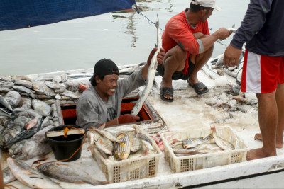 Antisipasi Ancaman Tarif Impor Produk Perikanan ke Amerika Serikat