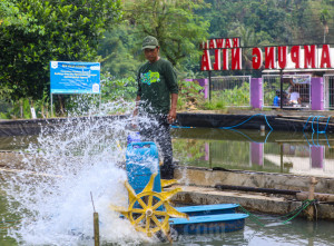 Dorong Ekonomi Dan Ketahanan Pangan Lewat Teknologi Perikanan