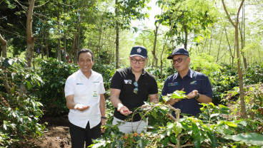 Dukung Produktivitas Petani, Kementerian BUMN Apresiasi Turn Around Kopi PTPN di Kawasan Ijen