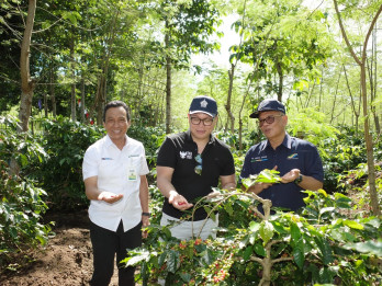 Dukung Produktivitas Petani, Kementerian BUMN Apresiasi Turn Around Kopi PTPN di Kawasan Ijen
