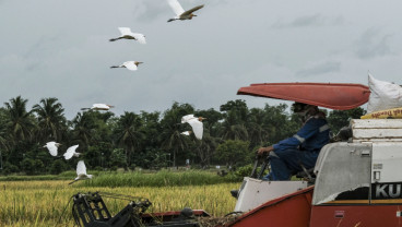 Jelajah Daulat Pangan 2025 : Beras Tabanan Disuplai ke 43 Hotel di Bali
