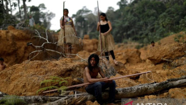 Jaksa Brasil Blokir Kesepakatan Kredit Karbon US$180 Juta