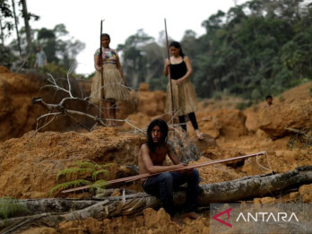 Jaksa Brasil Blokir Kesepakatan Kredit Karbon US$180 Juta