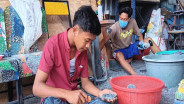 Produk Rumah Plastik Singaraja Diekspor ke Berbagai Negara